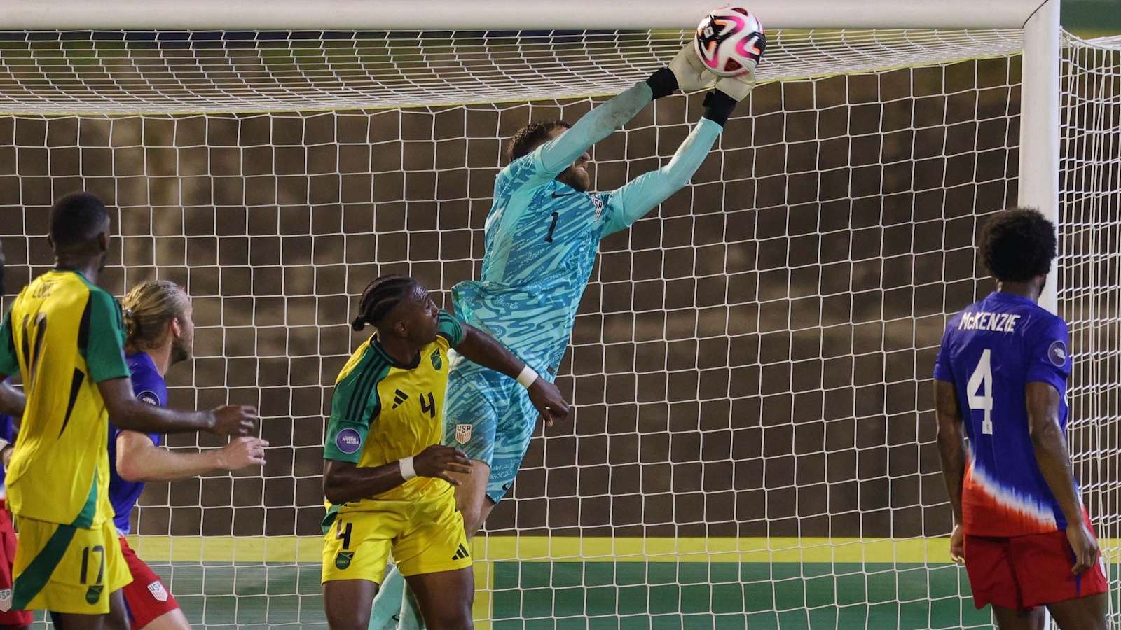 观赏性著称 观赏性著称